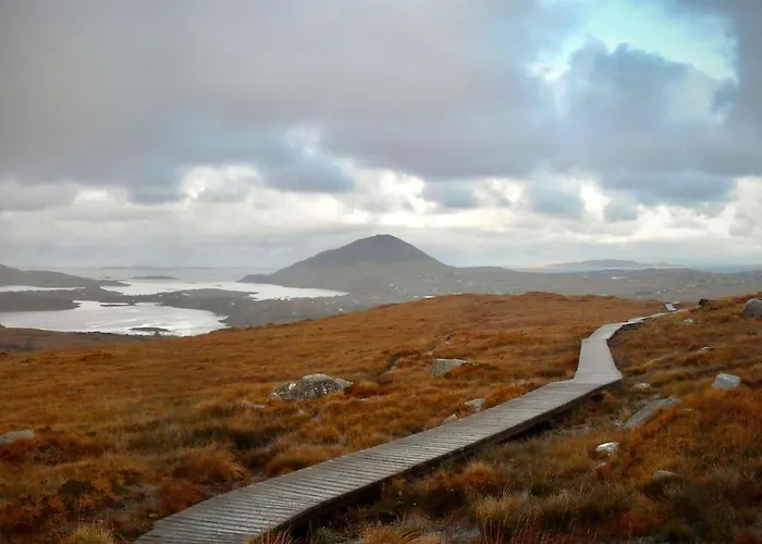 701 - Леттерфрак